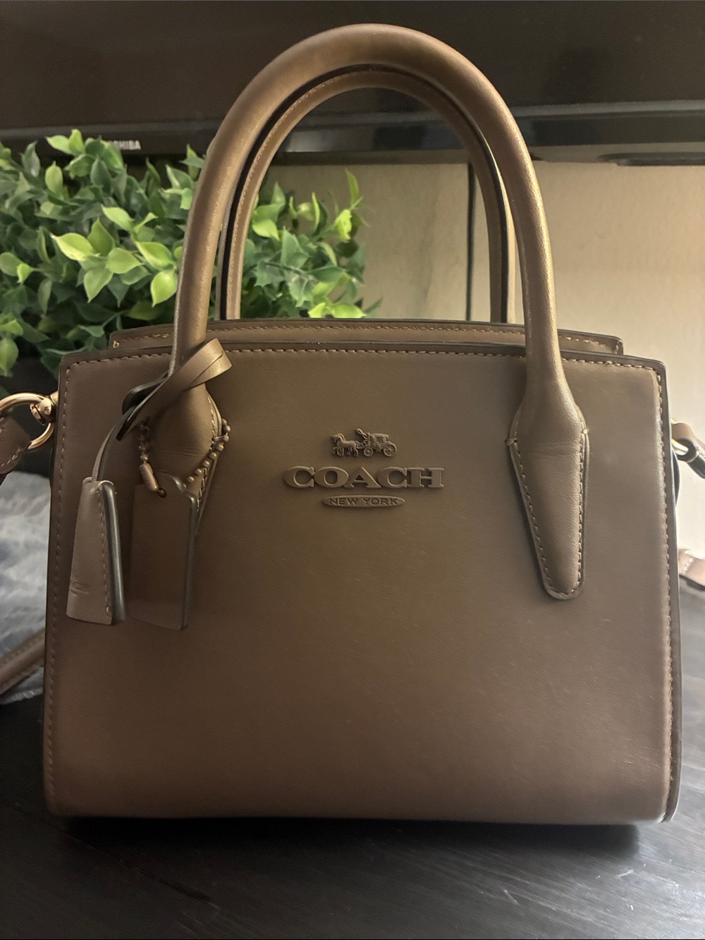Coach Andrea Carryall Bag